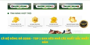 cá độ bóng đá qq88